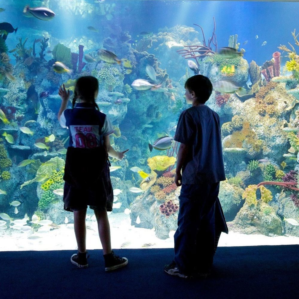 Bristol Aquarium